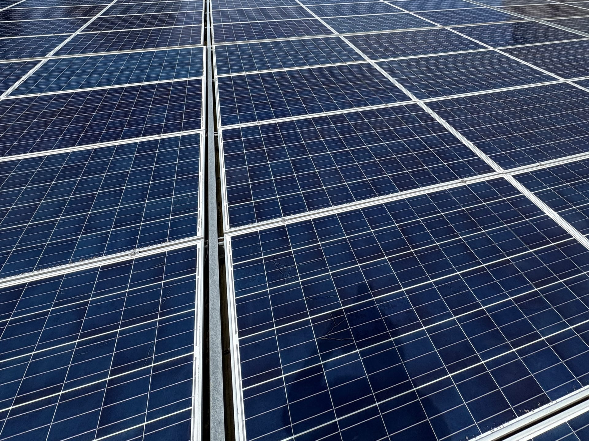 Rows of clean panels on a client's ground-mount solar array after a pure-water cleaning