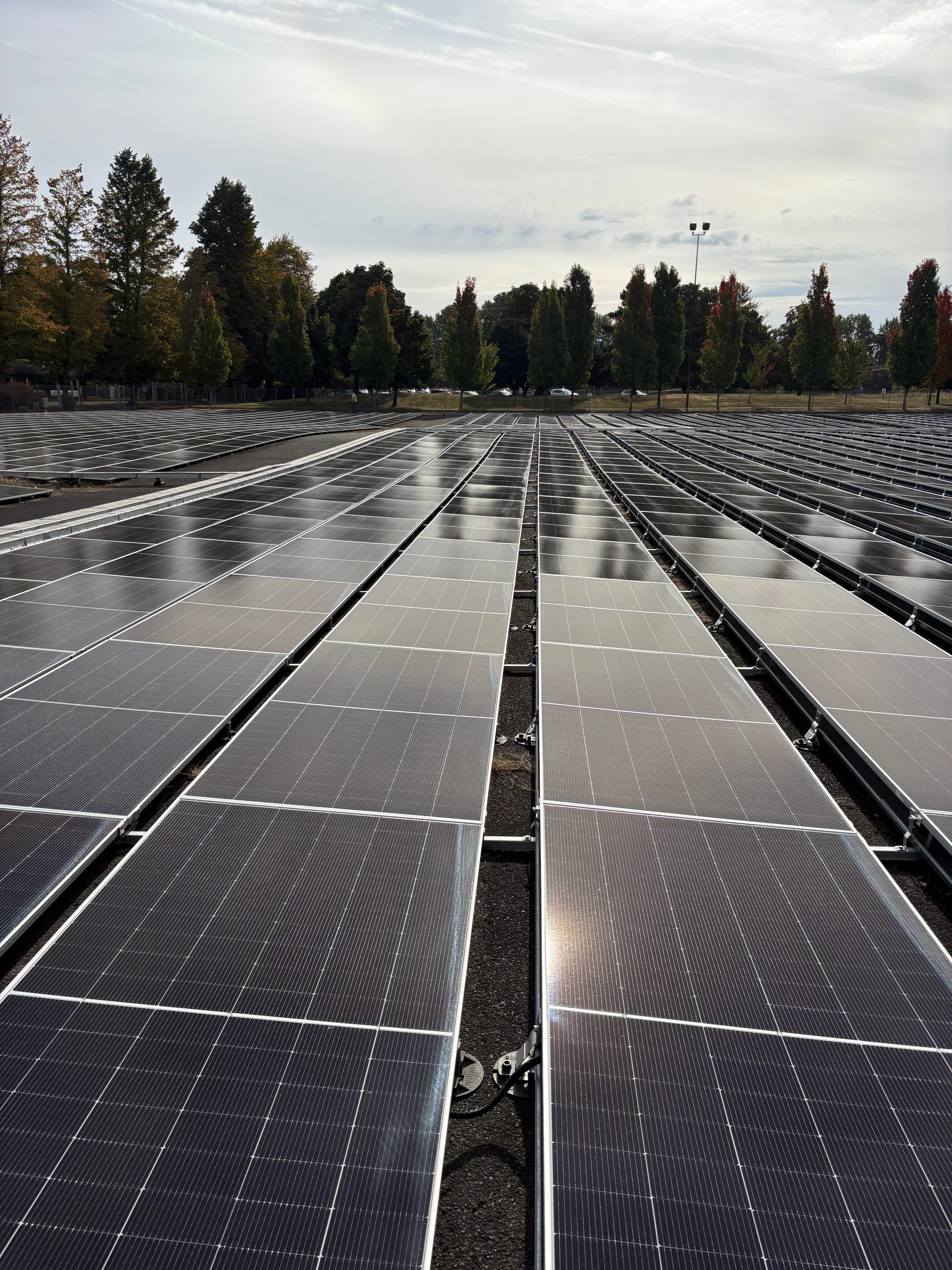 The same ground-mount array clean and reflective after a pure-water cleaning