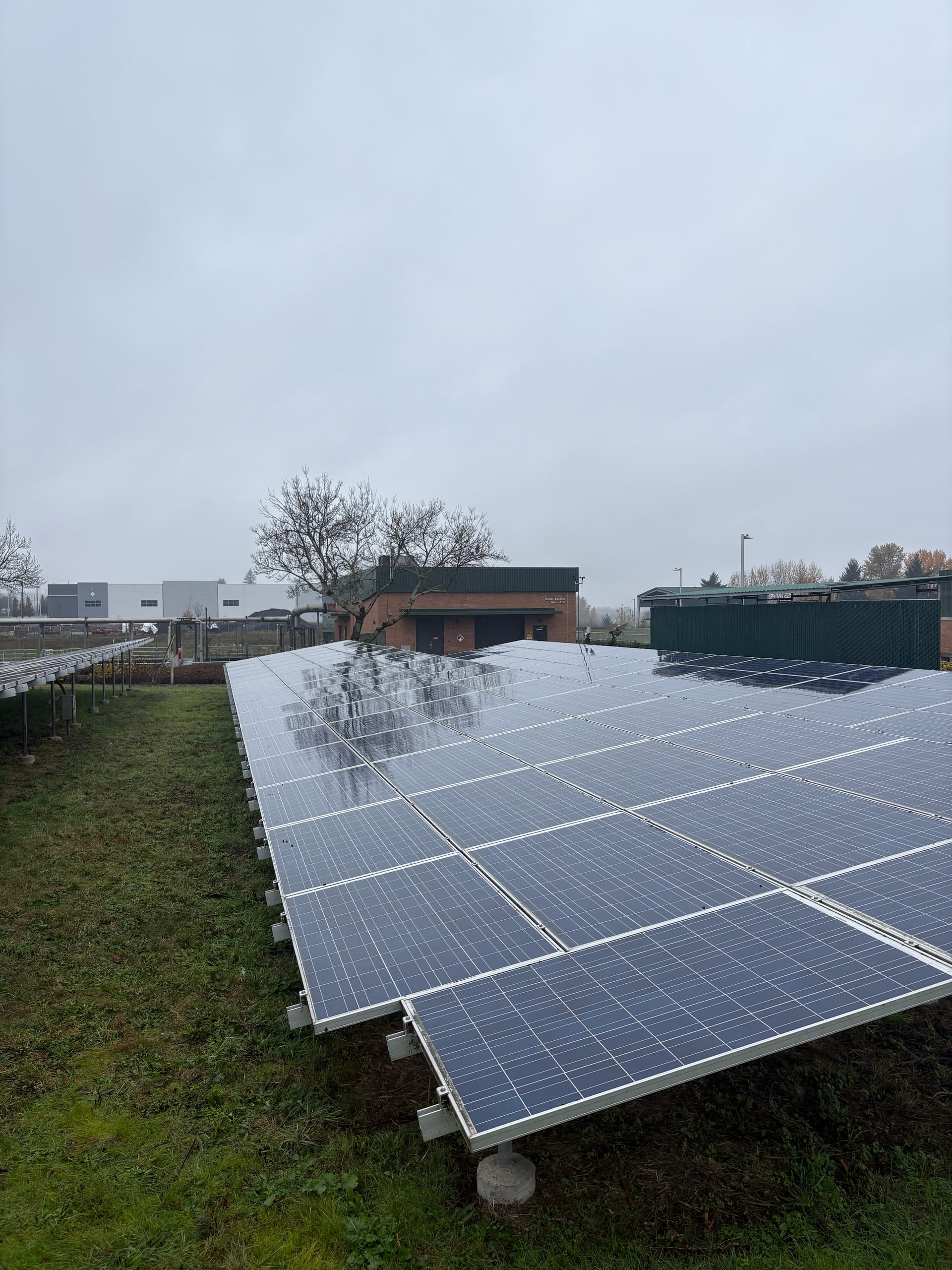 A ground-mount solar array on grass with wet panels, a brick industrial building and a bare tree behind