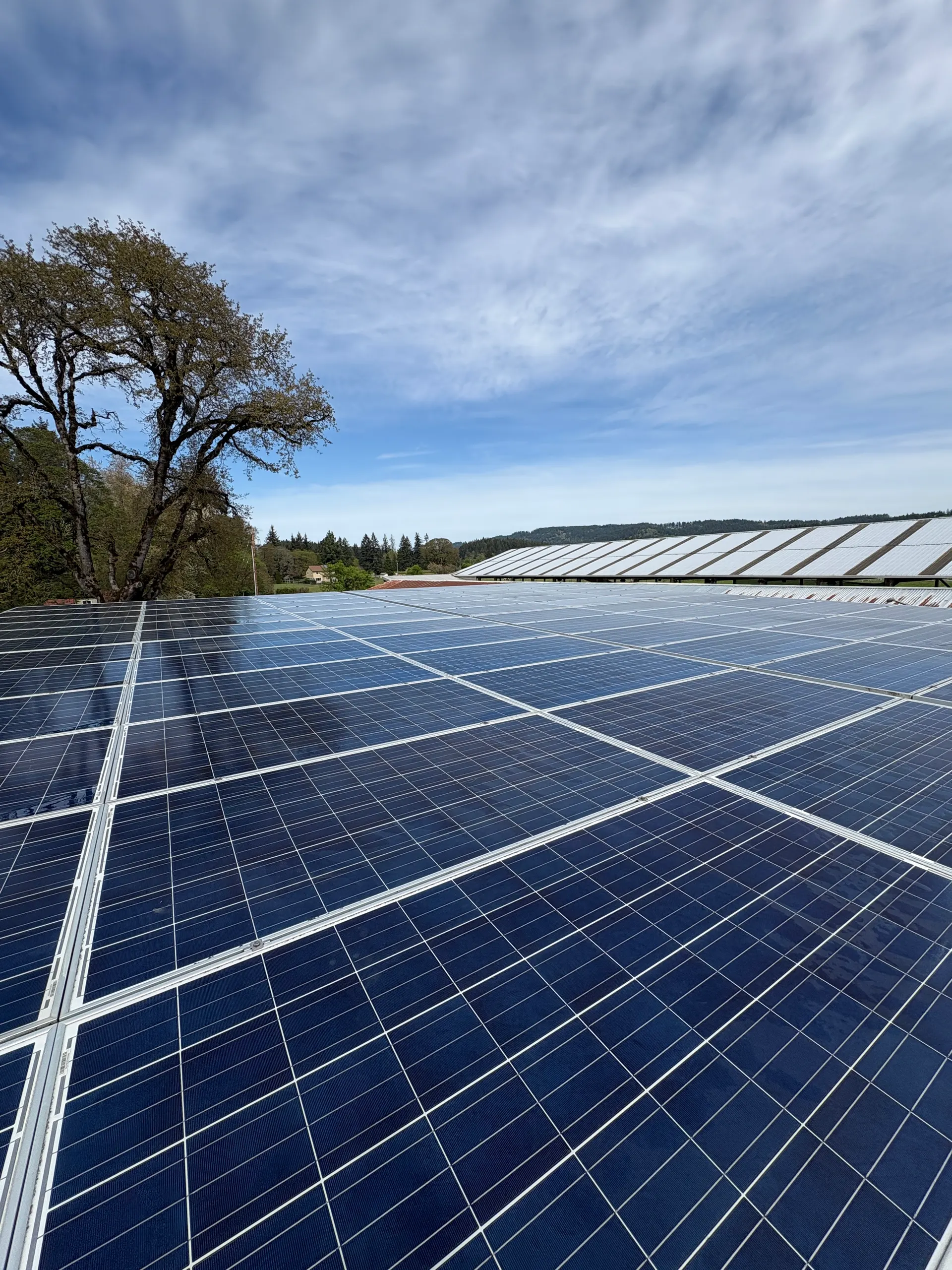 Rows of clean panels on a large commercial solar array under a partly cloudy sky