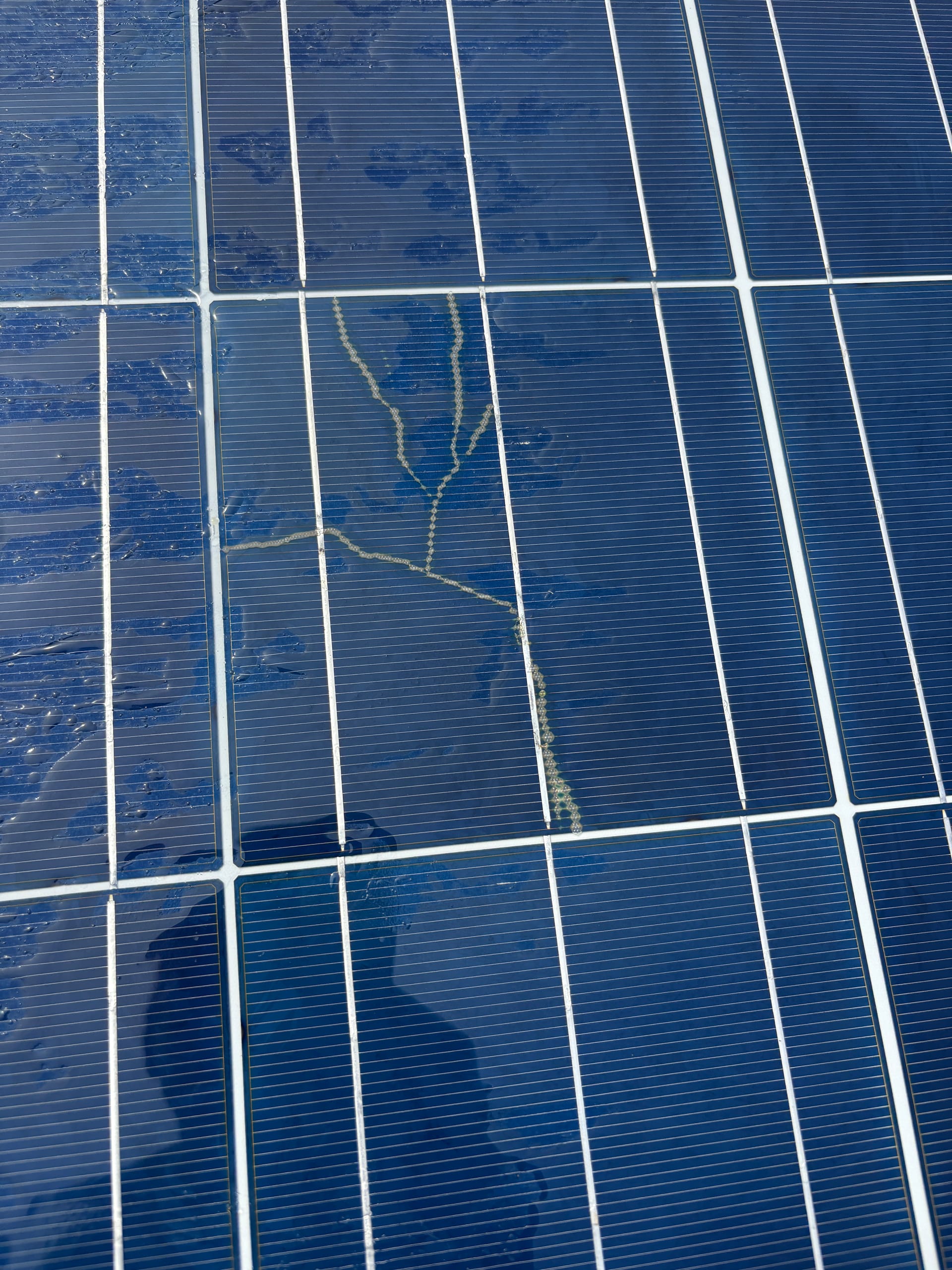 Cracked solar cells found and documented during a visual inspection