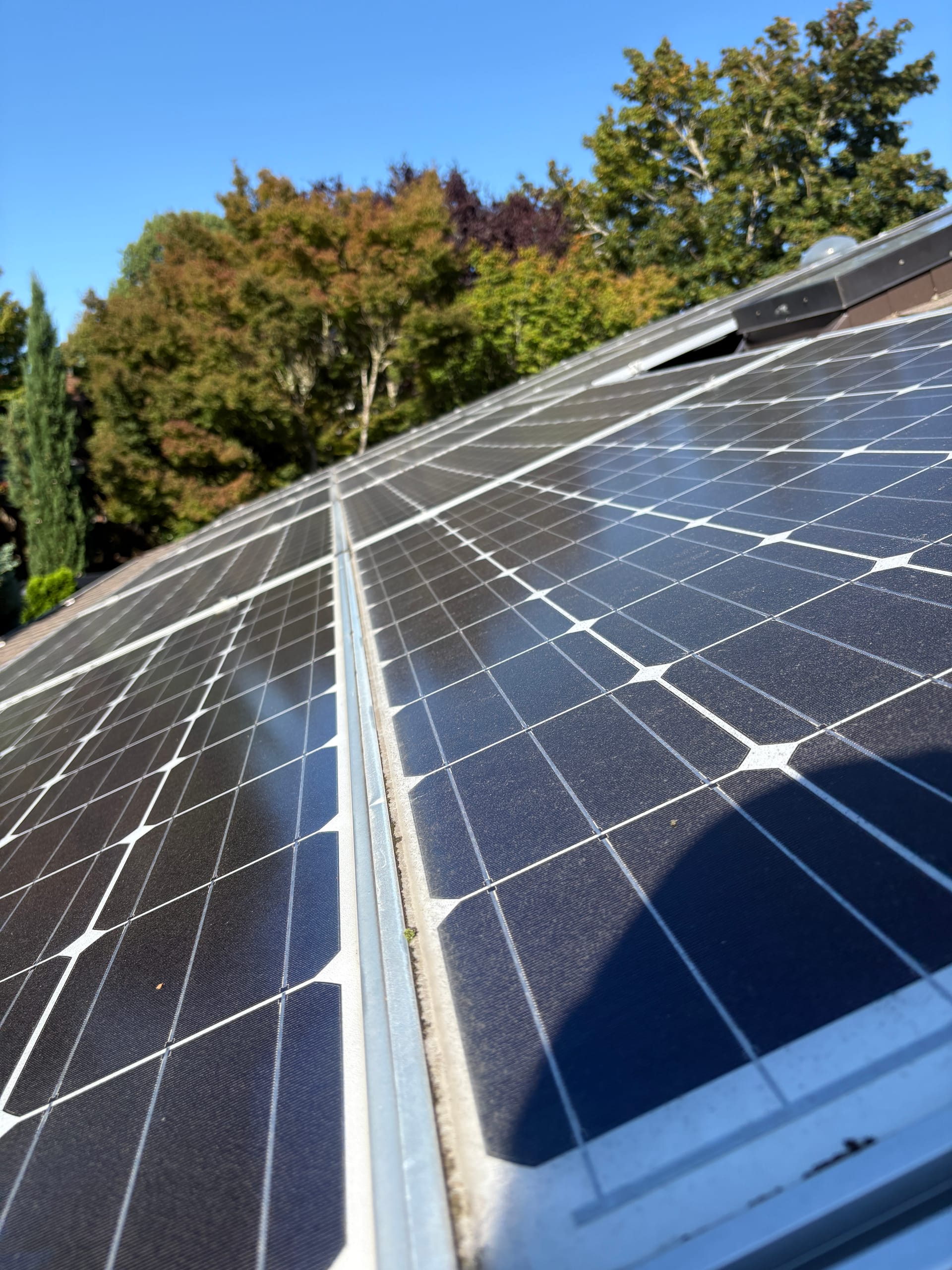 Clean residential solar panels along a row, trees and blue sky behind