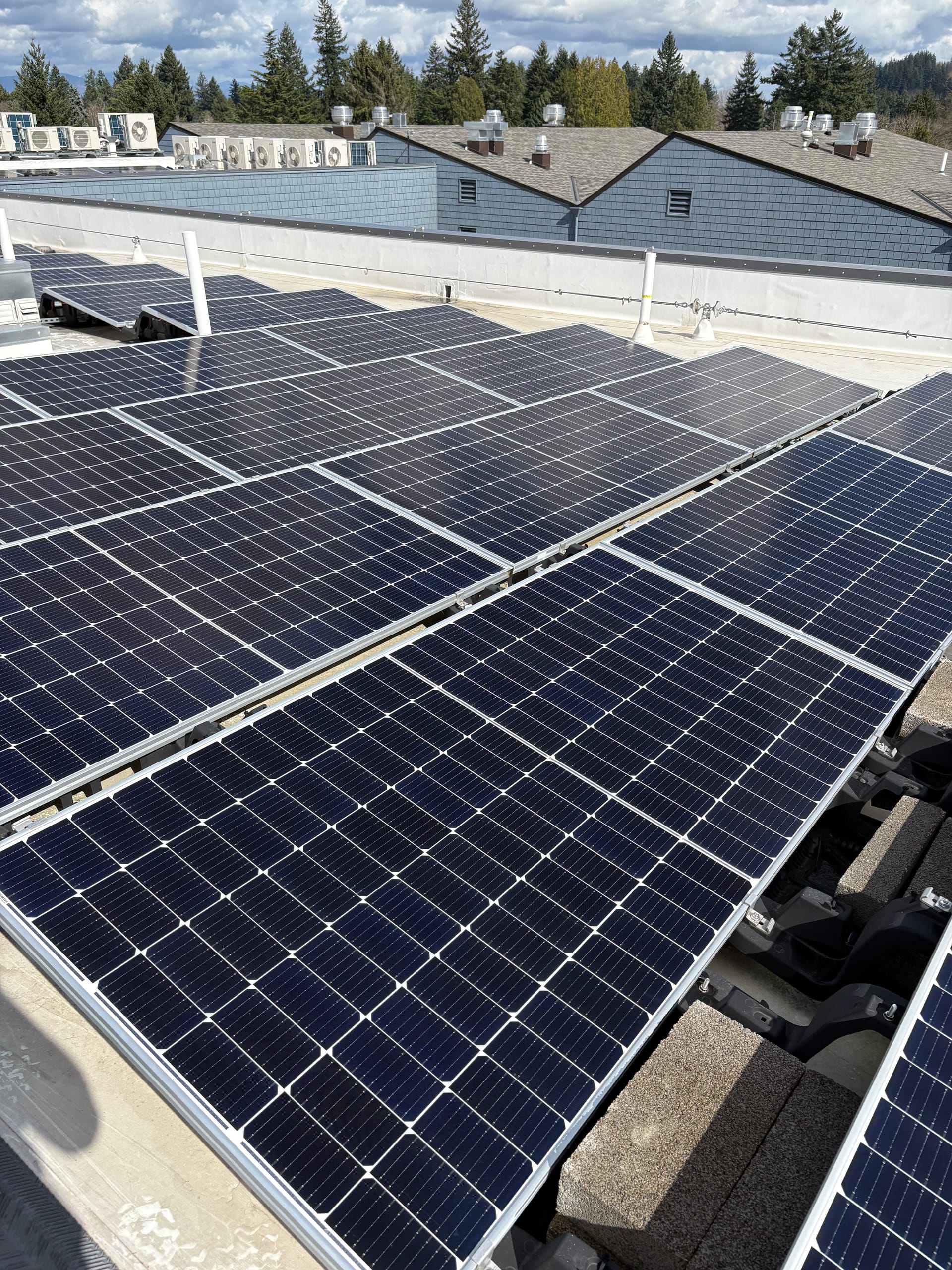 Solar panels on a Portland rooftop with a multi-family building and evergreens behind