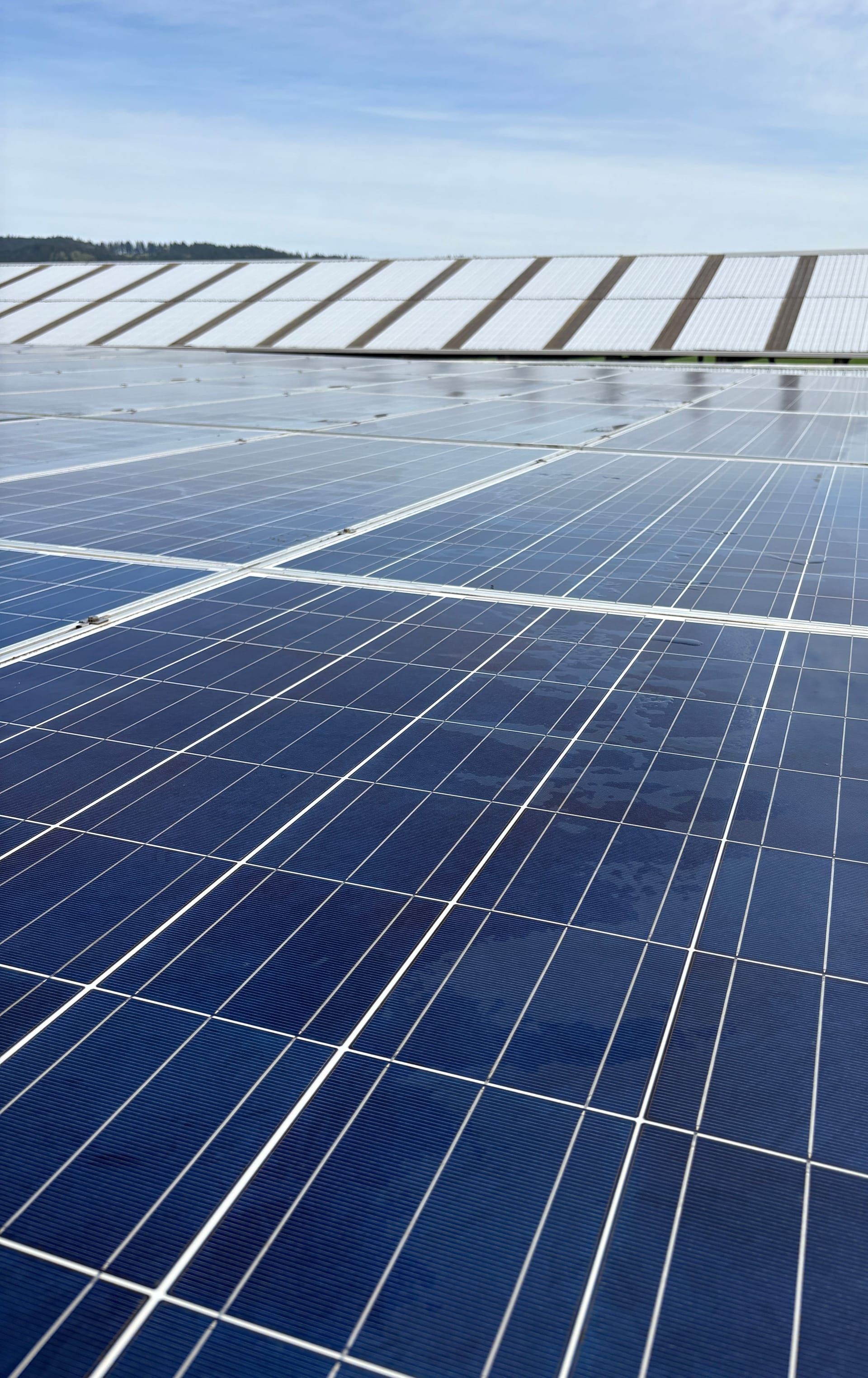 Long rows of a large commercial solar array stretching to the horizon